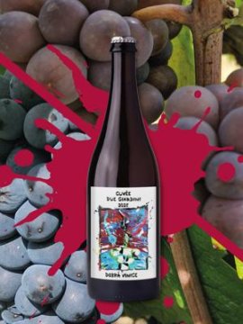 Mladé víno 2025 v prodeji od 03.11.