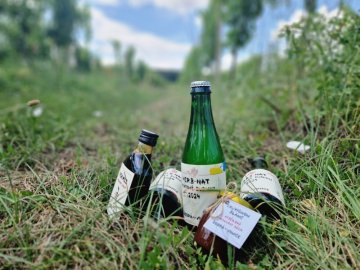 Delikatesy - Odrůda - Müller Thurgau